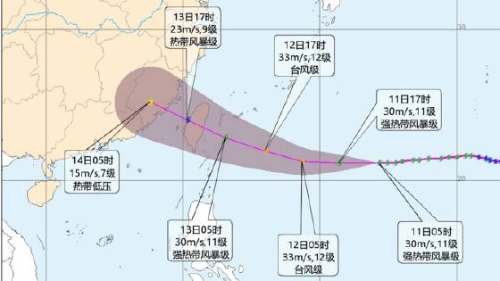 杨柳台风 杨柳台风